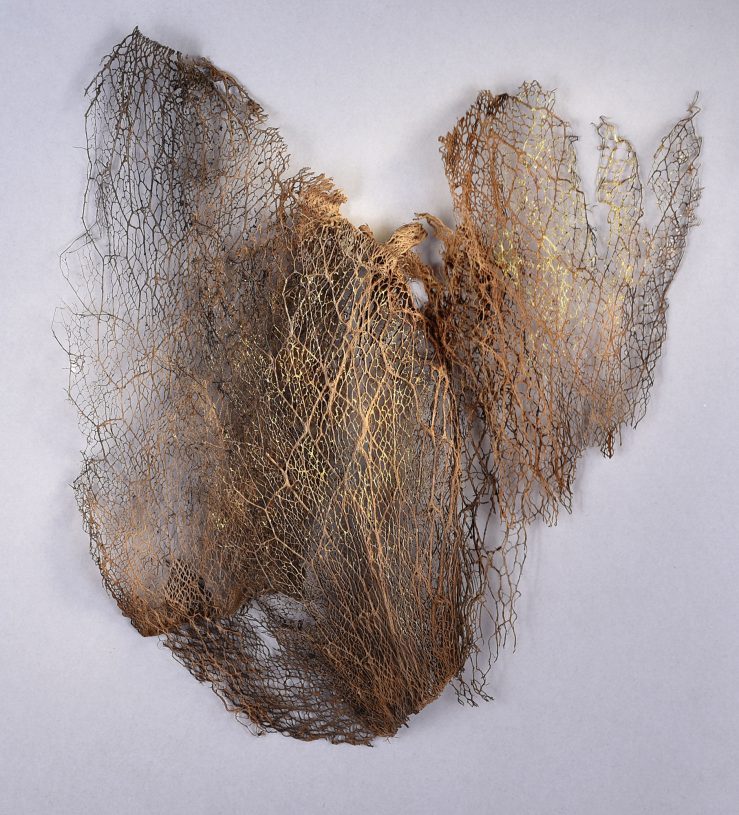 Katerina Katsifaraki, <i>Untitled</i>, 2021, prickly pear's leaves, gold leaves, <br>approximately 45x40x8 cm