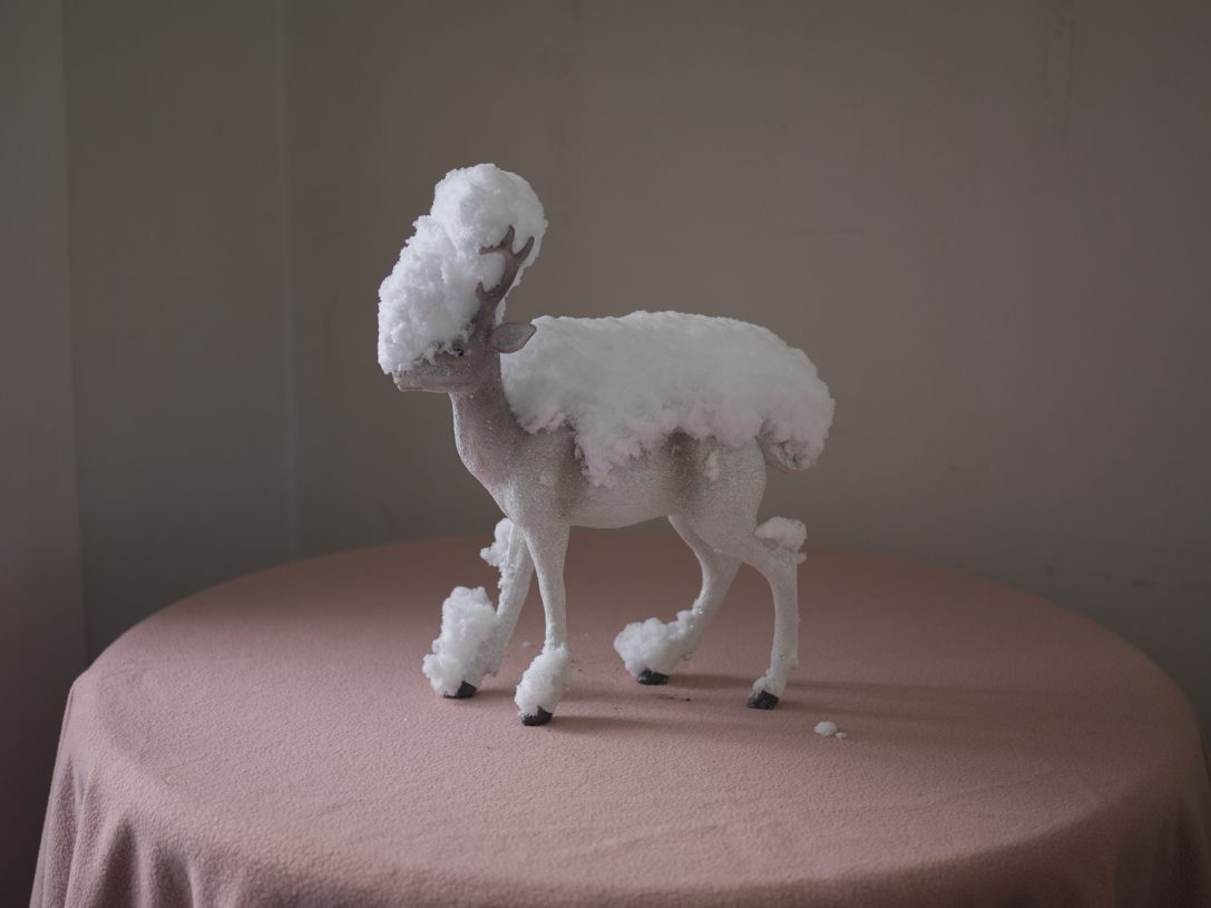 Yiannis Theodoropoulos, <i>Hart covered in fresh snow</i>, 2021, inkjet print on archival fine art paper,  120x100 cm, edition of 5+1AP