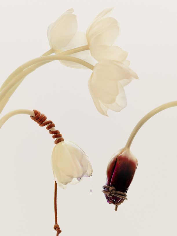 Leonardo Pucci, <i>Tulips 12:53pm</i>, 2021, print of original photograph on Hahnemühle 100% cotton paper - natural white, 75x100 cm (image size) and 105x130 cm (framed)