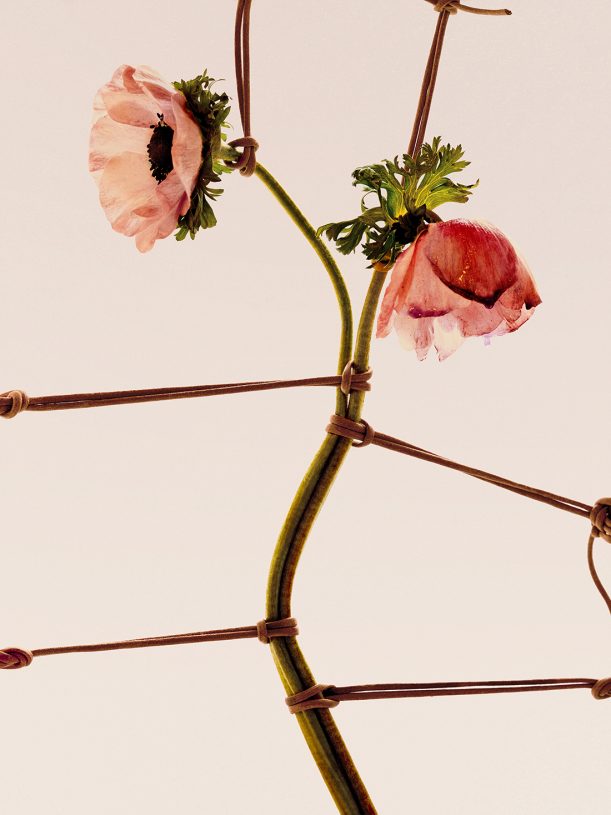 Leonardo Pucci, <i>Anemones 1:26pm</i>, 2021, print of original photograph on Hahnemühle 100% cotton paper - natural white, 37.5x50 cm (image size) and 57.5x70 cm (framed)