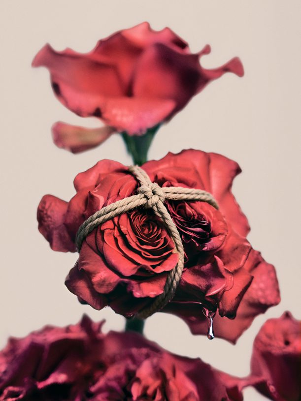 Leonardo Pucci, <i>Roses 1:18pm</i>, 2021, print of original photograph on Hahnemühle 100% cotton paper - natural white, 37.5x50 cm (image size) and 57.5x70 cm (framed)