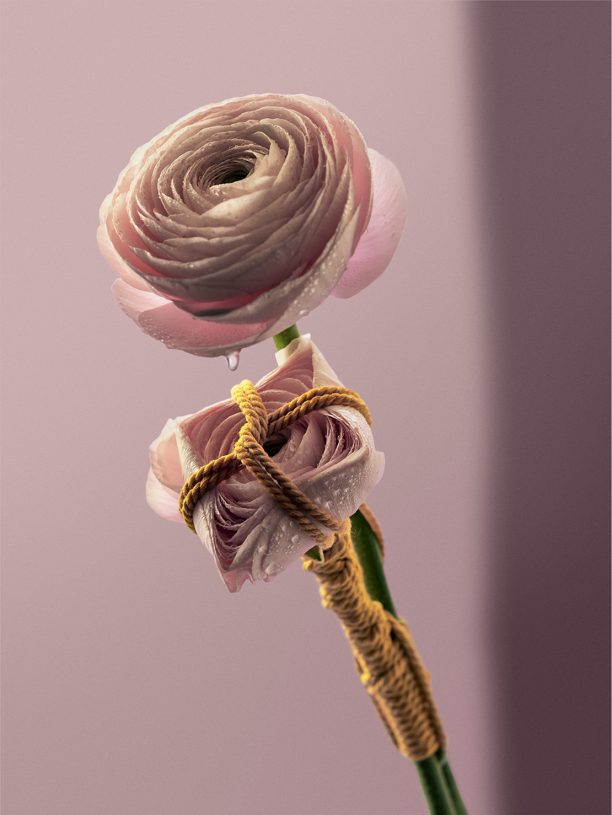 Leonardo Pucci, <i>Ranunculus 1:26pm</i>, 2021, print of original photograph on Hahnemühle 100% cotton paper - natural white, 37.5x50 cm (image size) and 57.5x70 cm (framed)