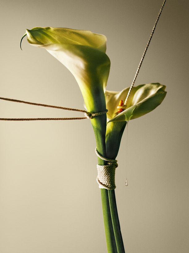 Leonardo Pucci, <i>Calla Lilies 11:17pm</i>, 2021, print of original photograph on Hahnemühle 100% cotton paper - natural white, 37.5x50 cm (image size) and 57.5x70 cm (framed)