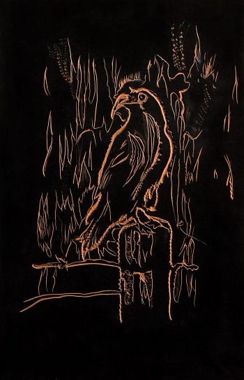 “WHEN THE RAVEN TURNS WHITE…”