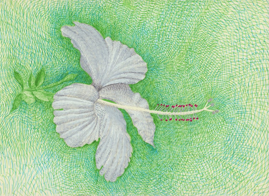 Joulia Strauss, <i>(New Glitter Plant)</i>, 2009-2025, ink and pencil on paper, 29,5x21 cm