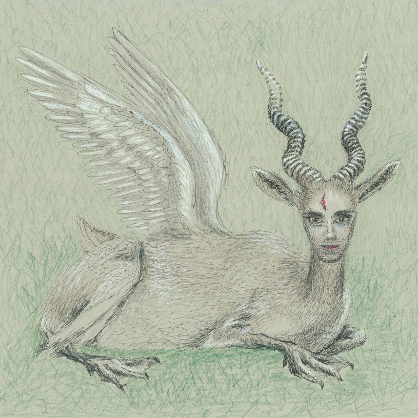 Joulia Strauss, <i>Anti-Swan (James Simbouras)</i>, 2018, ink and pencil on paper, 23.5x23 cm or 36x36 cm framed