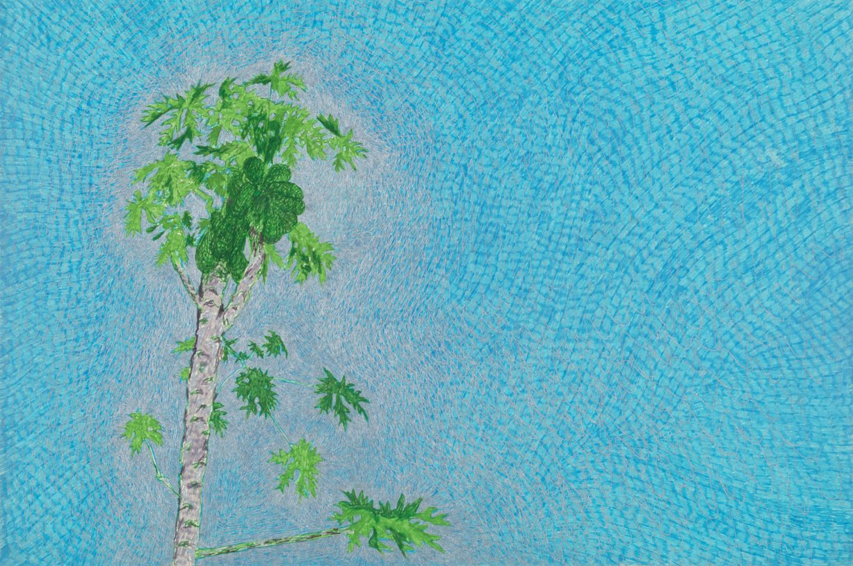 Joulia Strauss, <i>Papaya</i>, 2009, ink and pencil on paper, 21x29,5 cm or 45x54.5 cm framed