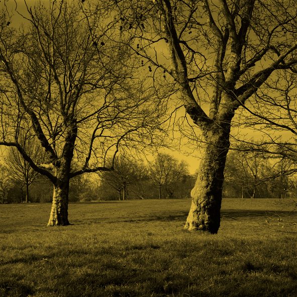 Caroline May, <i>Untitled (Clapham Common#2)</i>, 2011, from the series Killing Pictures, inkjet print, 40x40 cm, framed