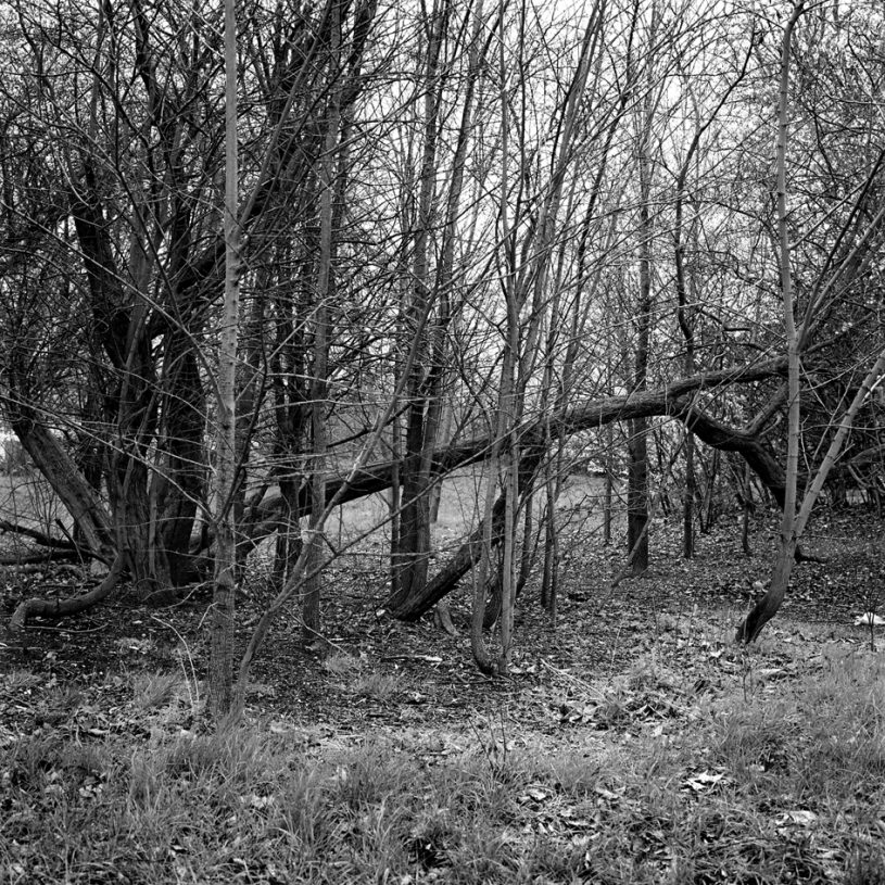 Caroline May, <i>Untitled (Beaulieu Heights #4)</i>, 2011, from the series Killing Pictures, inkjet print, 40x40 cm, framed
