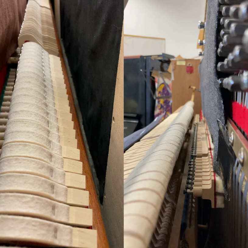 Simone Keller and Philip Bartels, <i>Together we root</i>, 2021, digital video (video still), <br>duration 3.20''