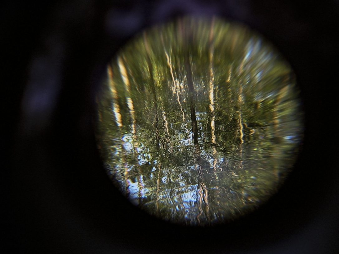 Nathan Pohio, <i>Spyglass Field Recording Vol I For the love of Bobwitt Hearte</i>, 2008-21, photographic print, 17.2x23 cm, edition 2 of 5