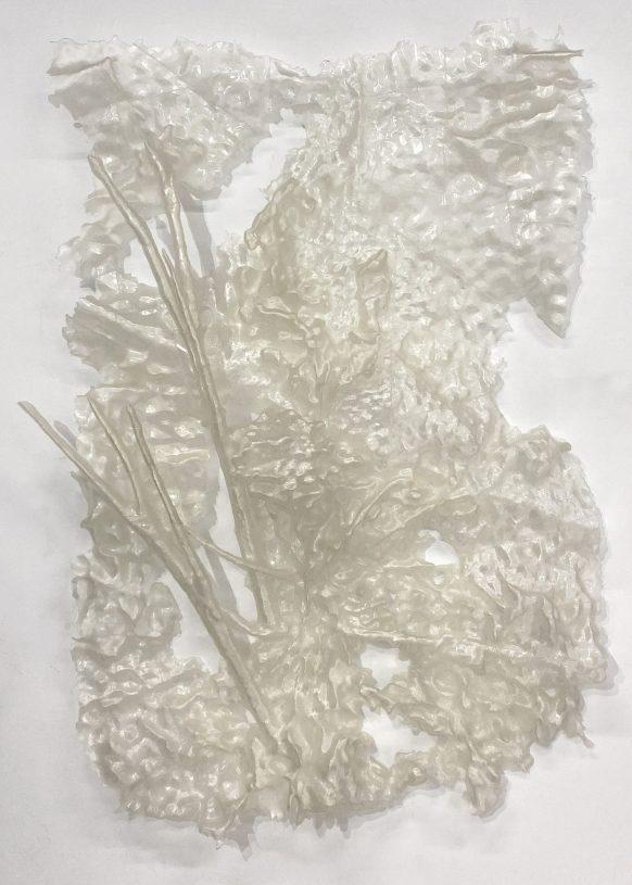 Vangelis Savvas, <i>Abandoned (Empty Husk)</i>, 2024, 3D print, plant-based PLA, 150x80 cm