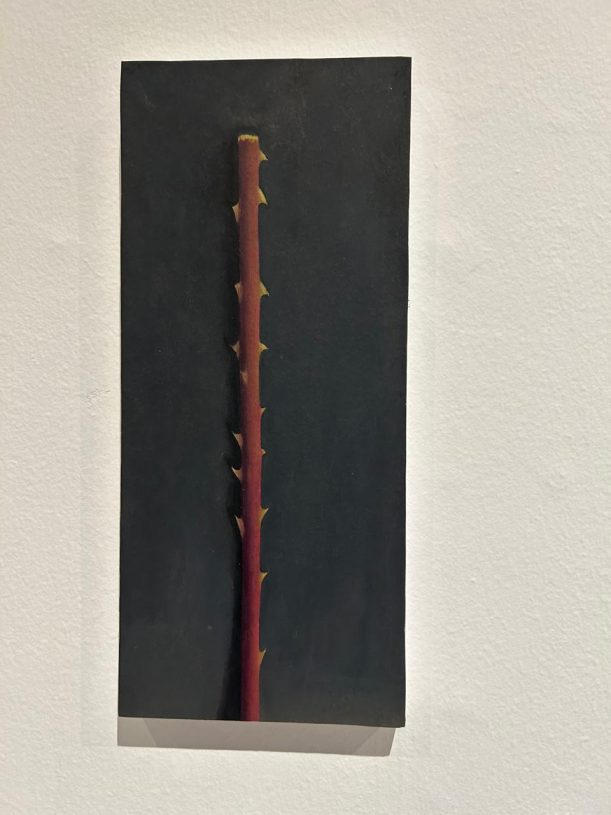 Vassilis Vassilakakis, oil on paper