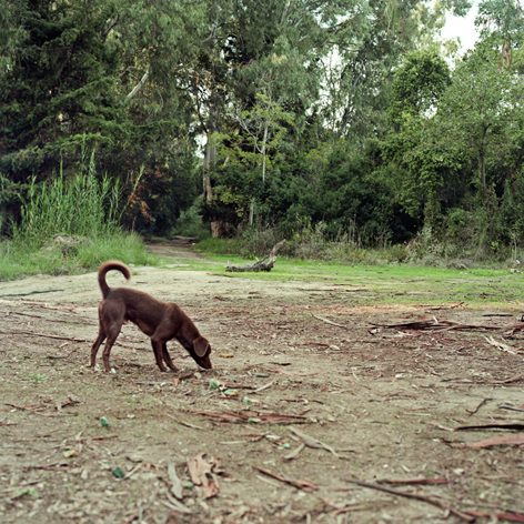 Caroline May, <i>Untitled</i>, 2010, c-print on paper, 40x40cm