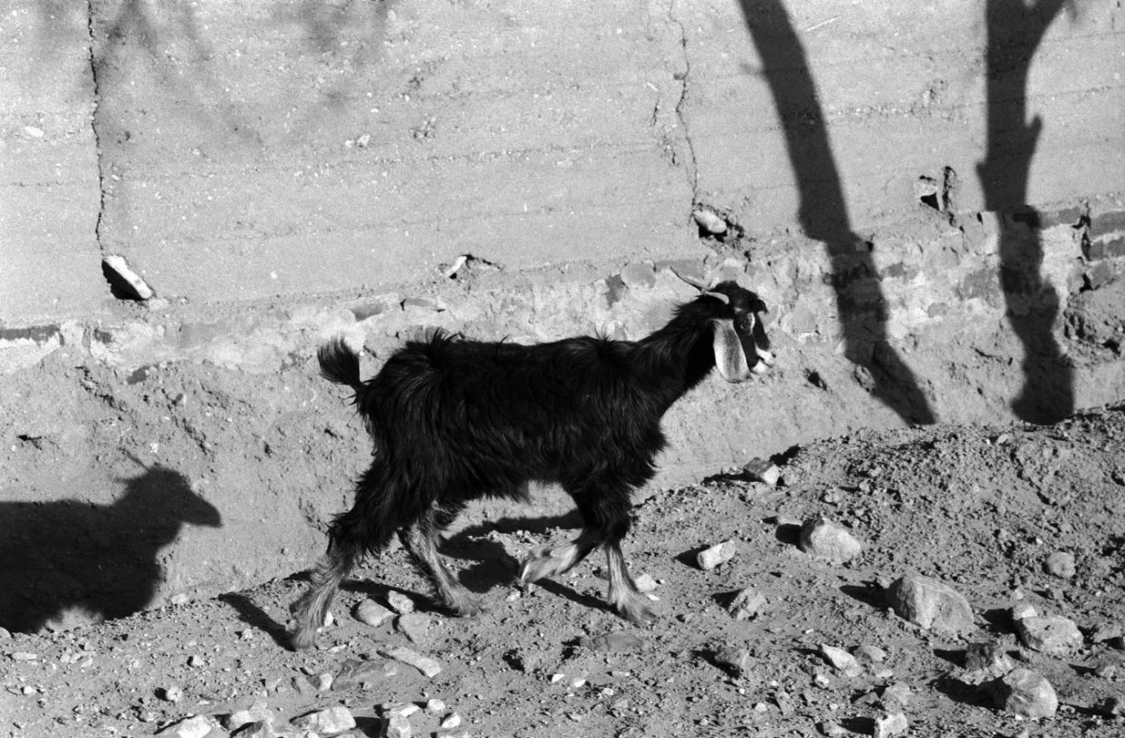 Renate Graf, <i>Walking on sand</i>, 2014-2016, gelatin print on paper 30x40 cm