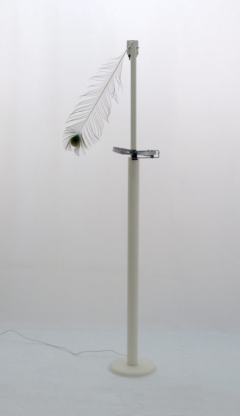 Andreas Kalli, <i>Suggestibility of attraction</i>, 2014, feather, motor, metal base, 60x40x175 cm