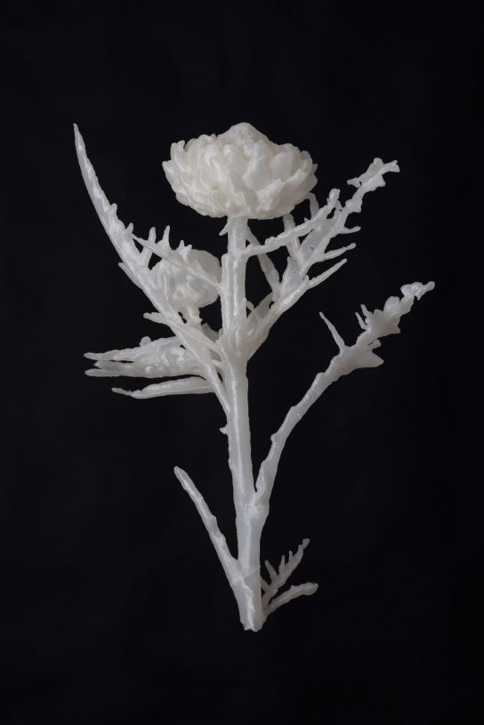 Vangelis Savvas, <i>Trace (Wilted Blossom)</i>, 2025, 3D print, plant-based PLA, 50x58 cm