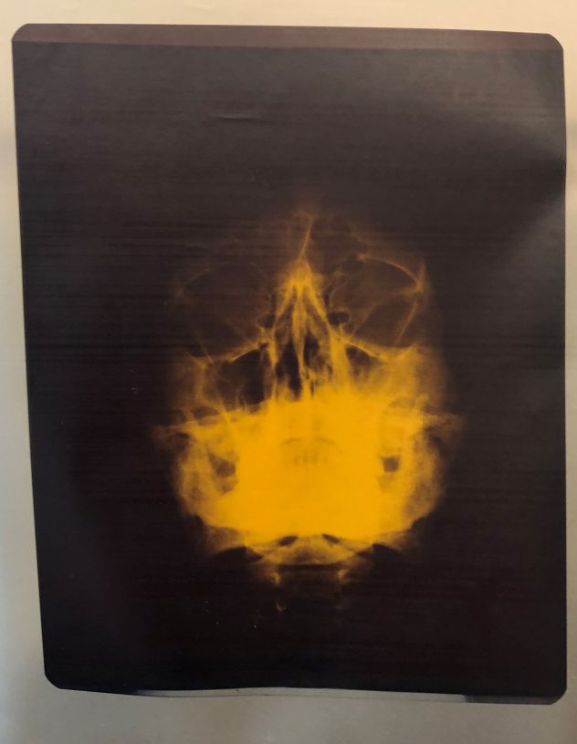 Stavros Papagiannis, <i>Untitled</i>, 1985-1993, blueprint, enamel
