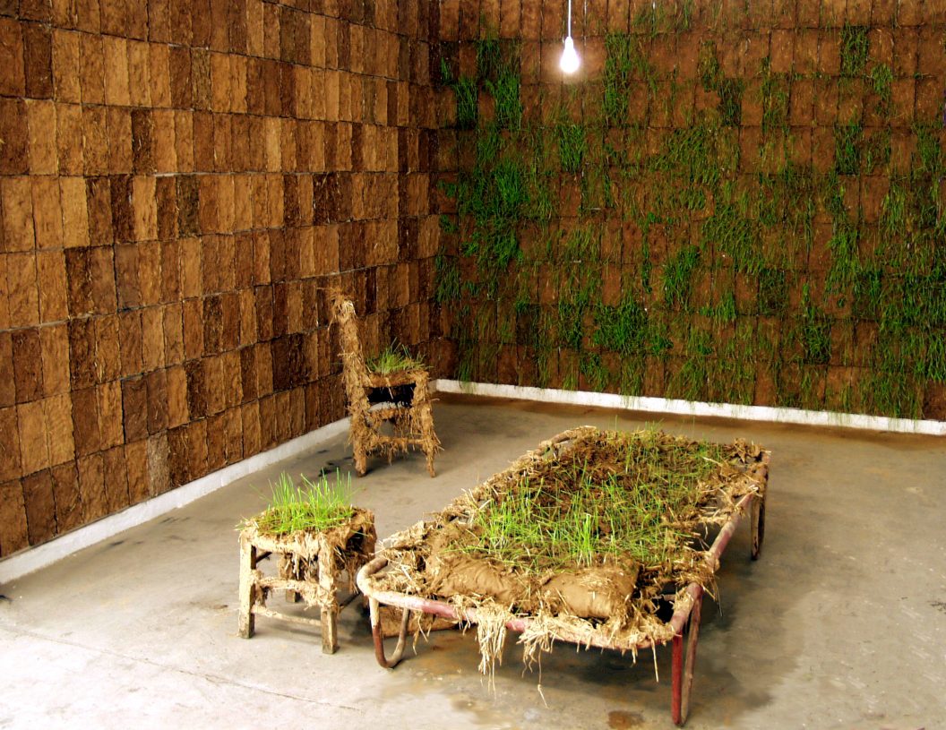 Nikos Papadopoulos, <i>Untitled</i>, 2003, installation with handmade adobe bricks, plants and objects