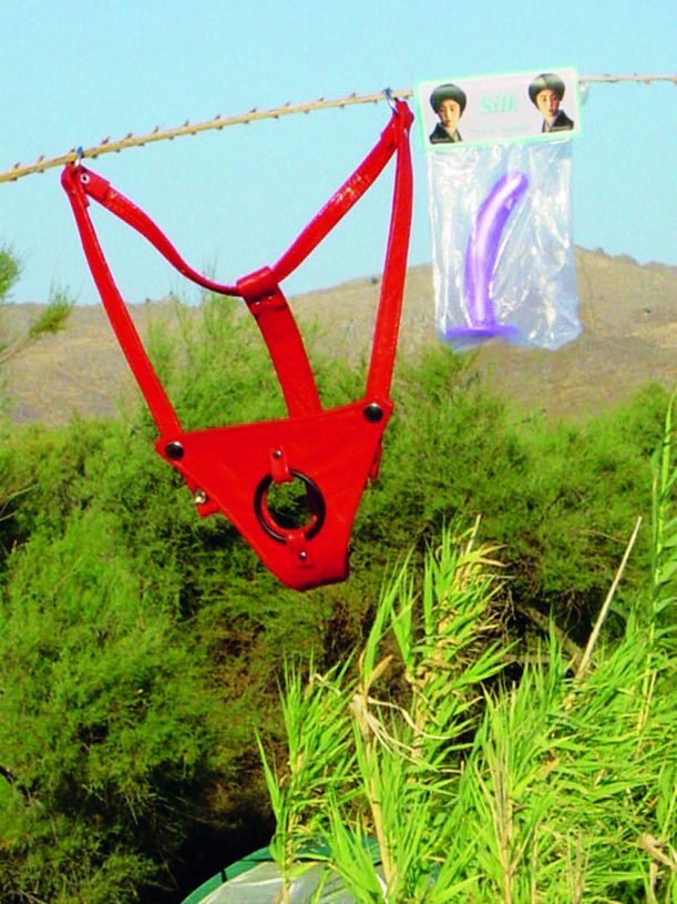 Maria Cyber, <i>Eressos (Magic was selling sex toys near the beach)</i>, 2005, print on paper, 27x36 cm, edition of 3+2AP