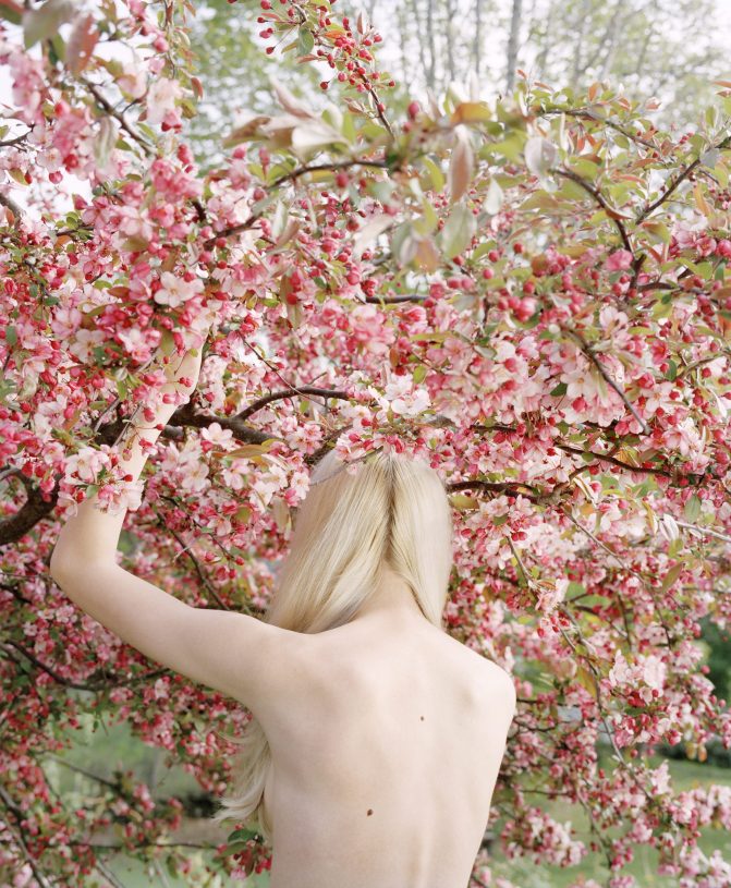 Jocelyn Lee, <i>Raising the Cherry Tree</i>, 2016, digital archival pigment on Canson Platine paper, 102x127 cm