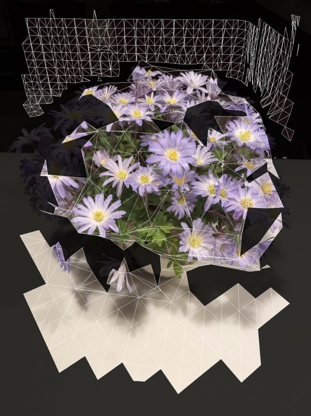 Maria Mavropoulou, <i>Trophy I (from the Hollow Garden series)</i>, 2021, archival print, 70x53 cm