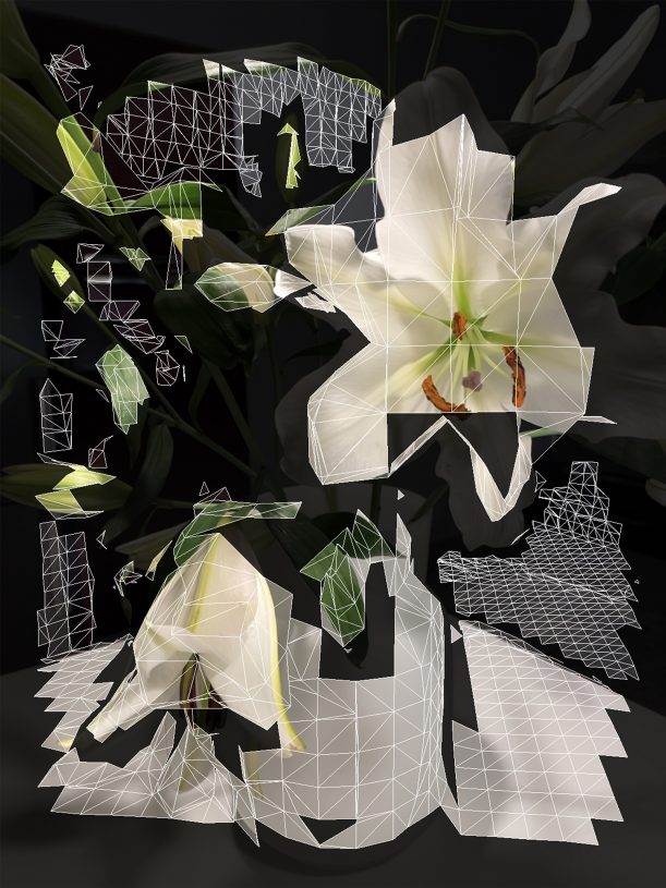 Maria Mavropoulou, <i>Trophy II (from the Hollow Garden series)</i>, 2021, archival print, 70x53 cm