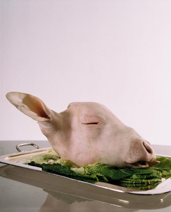 Alice Rosati, <i>SKIN #2</i>, 2019, Hahnemühle Photo Rag® Bright White