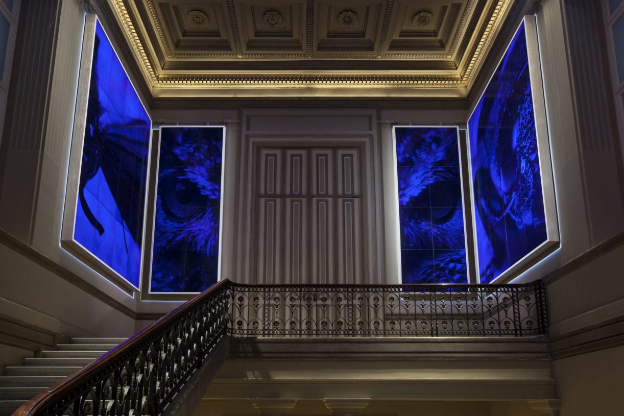 Jan Fabre, <i>The gaze within (The hour blue)</i>, 2011-13, Bic ballpoint pen on cibachrome. Permanent Collection Royal Museums of Fine Arts of Belgium. Photographer: Attilio Maranzano