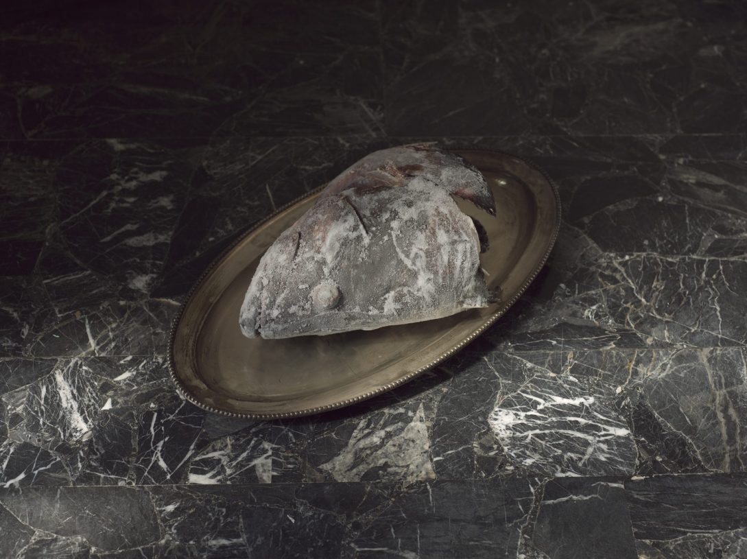 Yiannis Theodoropoulos, <i>Ludwig</i>, 2016, inkjet print on aluminum frame, 78x100 cm